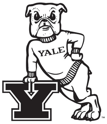 Yale Bulldogs 1972-1997 Primary Logo t shirts DIY iron ons